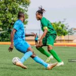 J14 D1 Féminine 2024-2025 : Place aux affiches de la 14e journée